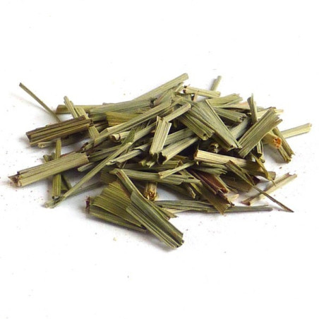 Zitronengras grob 1 Kilo