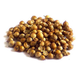 Koriander ganz Dose gross 90g