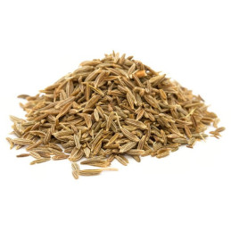 Kreuzkümmel ganz Dose gross