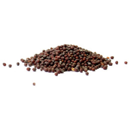 Senfkörner braun ganz 1 Kilo