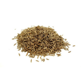 Kümmel ganz Dose gross 140g
