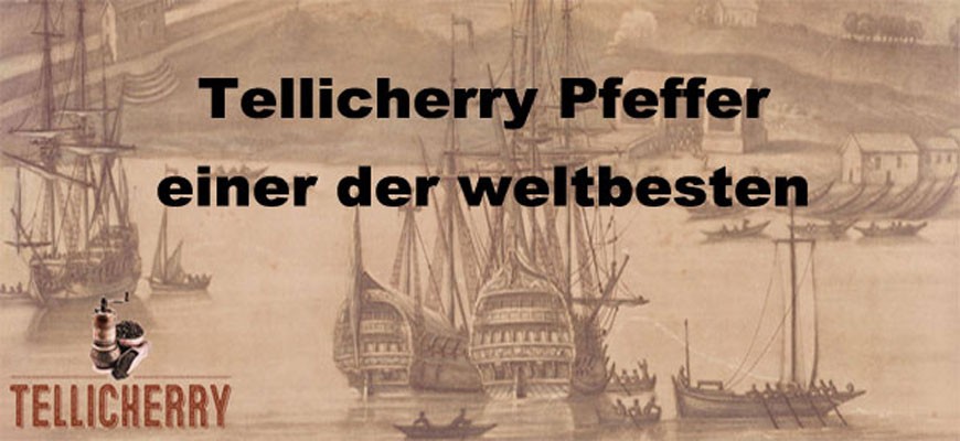 Tellicherry Pfeffer